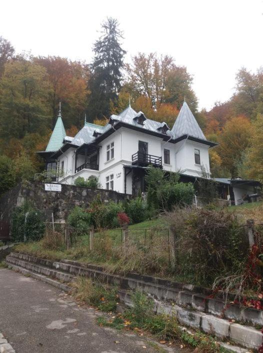 Il Piccolo Castello Буштени Экстерьер фото