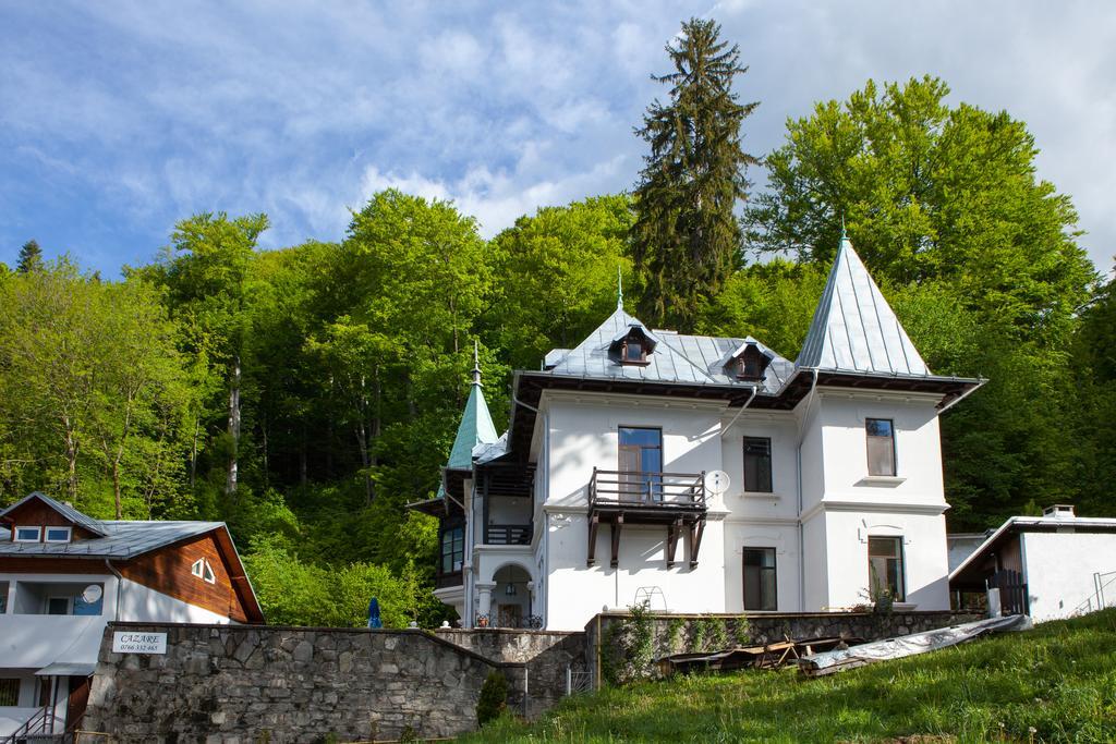 Il Piccolo Castello Буштени Экстерьер фото